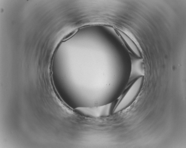 X0000088721197200706141605