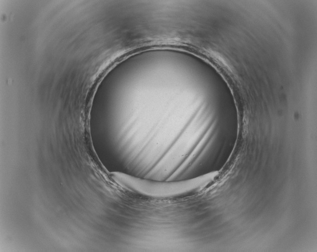 X0000088721212200706141605