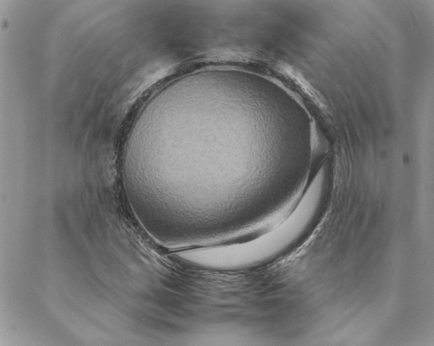 X0000088721213200706141605