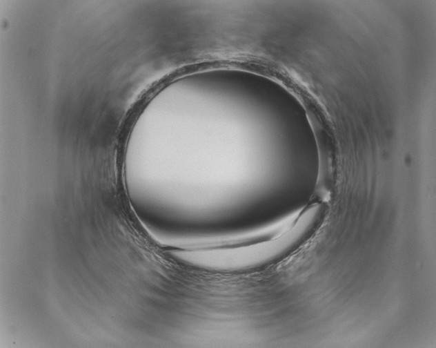 X0000088721214200706141605