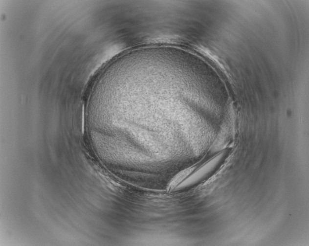 X0000088721219200706141605