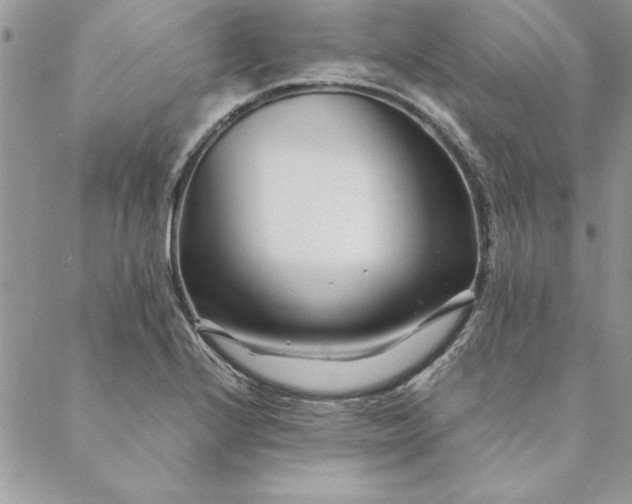 X0000088721224200706141605