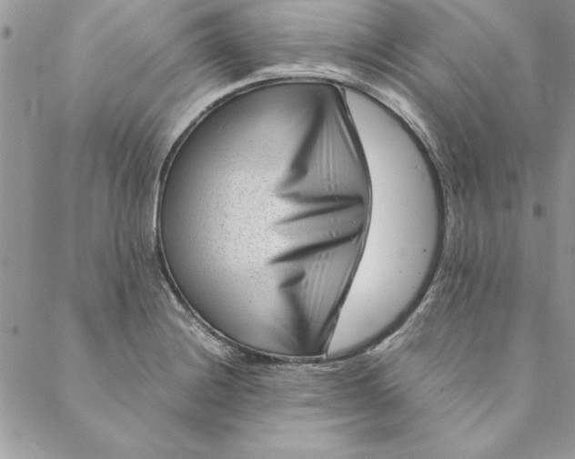 X0000088721228200706141605