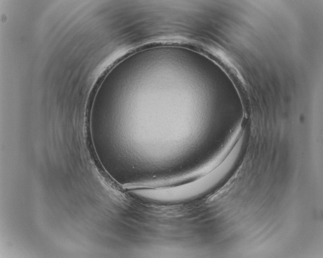 X0000088721229200706141605
