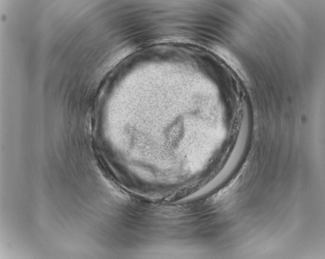 X0000088721241200706141605