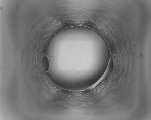 X0000088721249200706141604