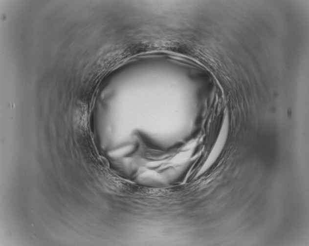 X0000088721251200706141604