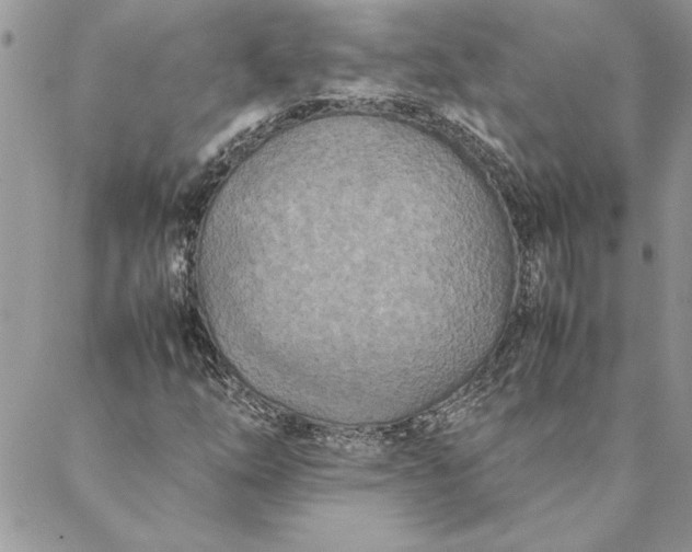 X0000088721254200706141604