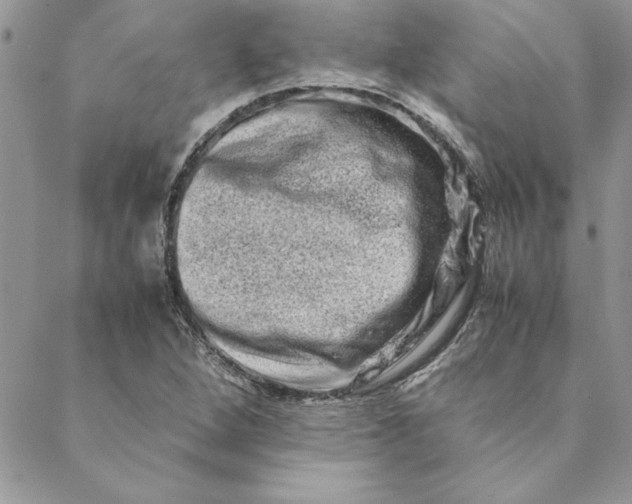 X0000088721264200706141604