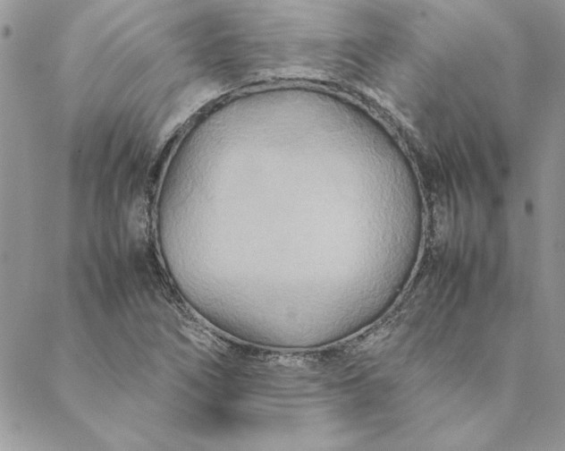 X0000088721266200706141604