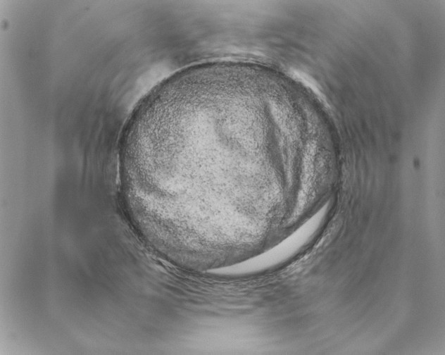 X0000088721267200706141604