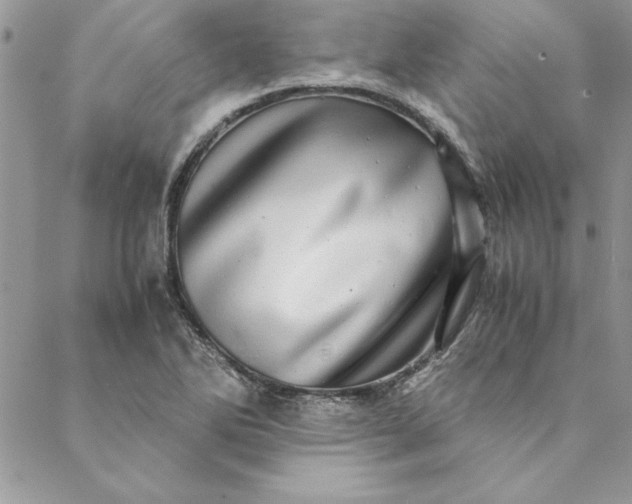 X0000088721270200706141604