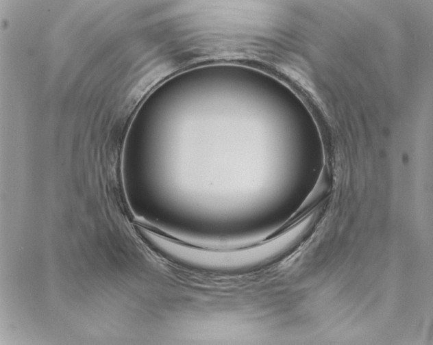 X0000088721273200706141604
