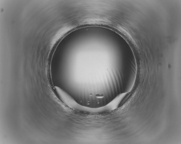 X0000088721277200706141604