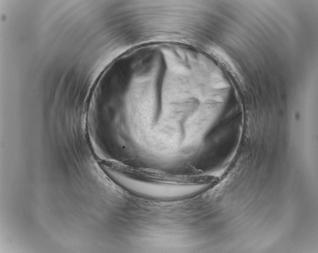 X0000088721284200706141604