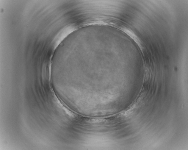 X0000088721290200706141604
