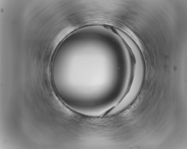 X0000088721293200706141604