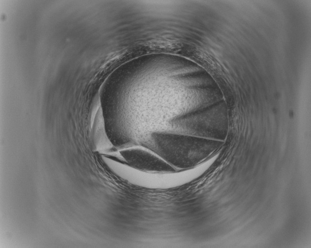 X0000088721297200706141603