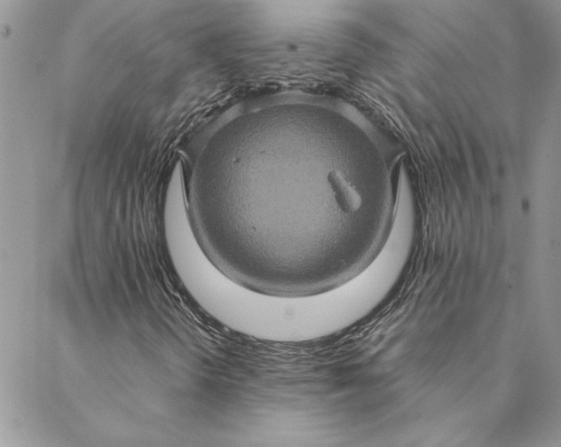 X0000088721298200706141603