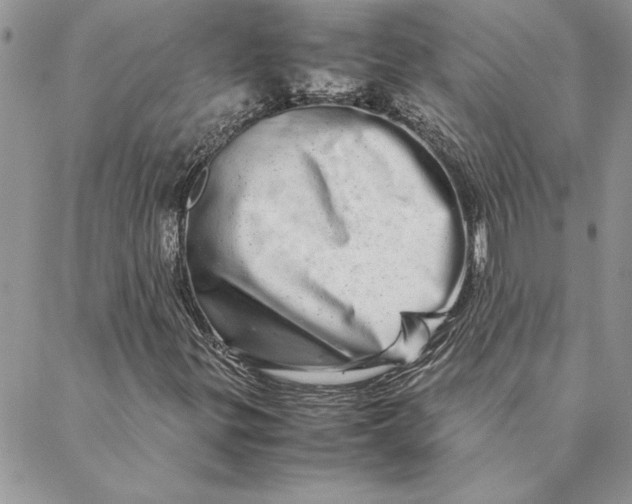 X0000088721299200706141603