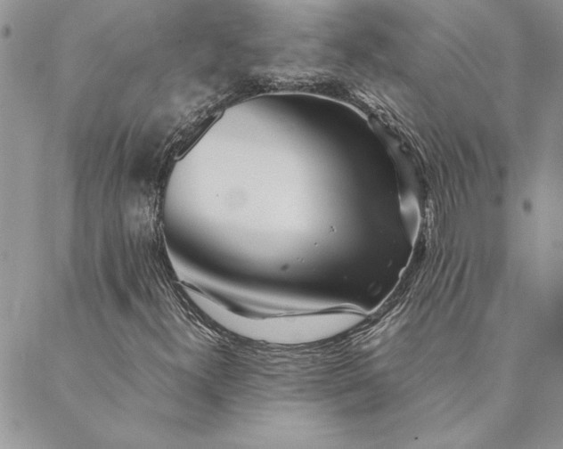 X0000088721300200706141603