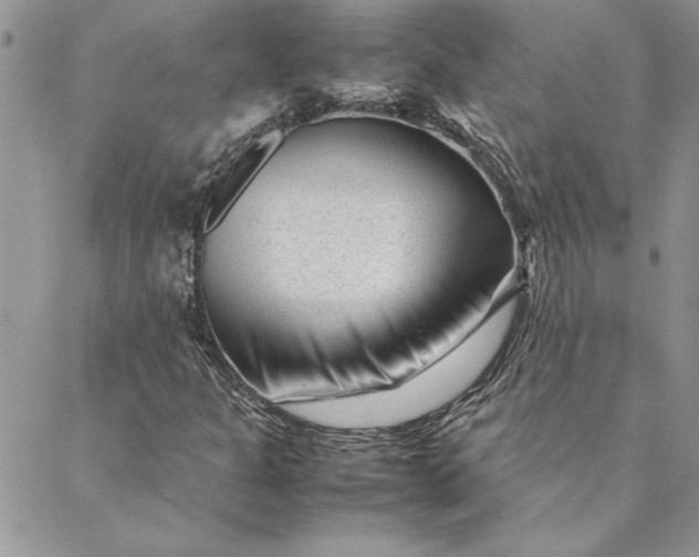 X0000088721301200706141603