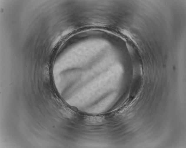 X0000088721307200706141603