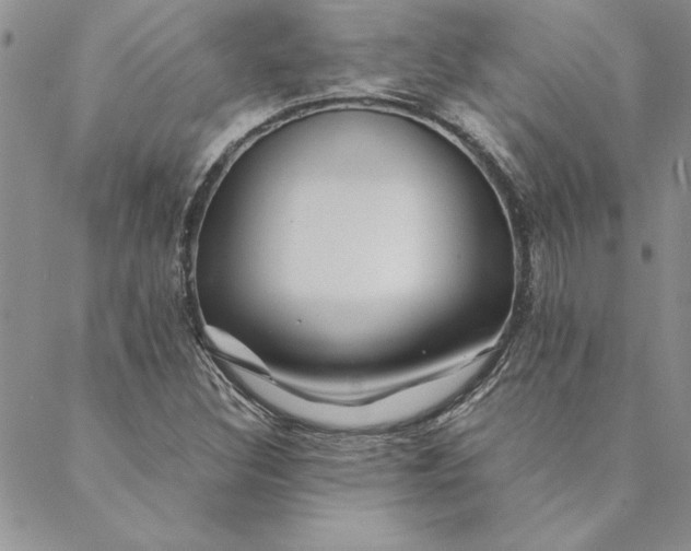 X0000088721308200706141603