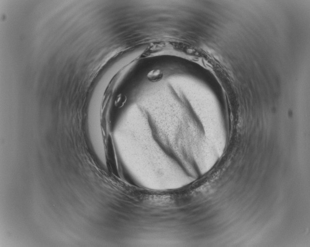 X0000088721313200706141603