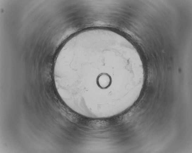 X0000088721314200706141603