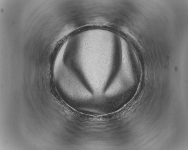 X0000088721315200706141603