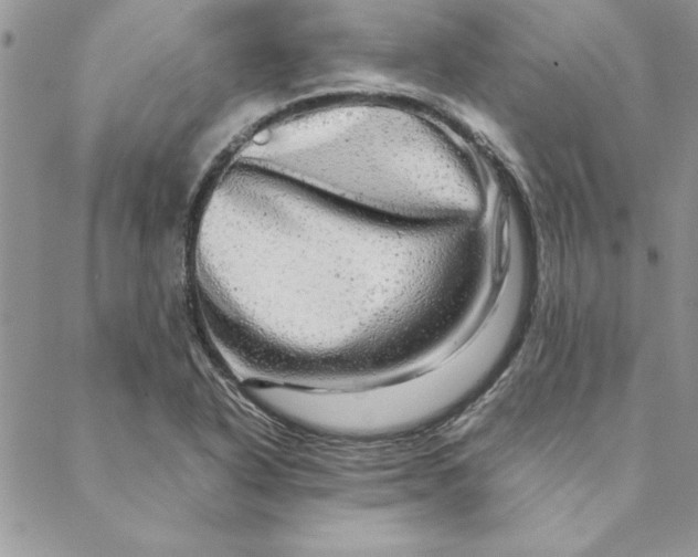 X0000088721318200706141603