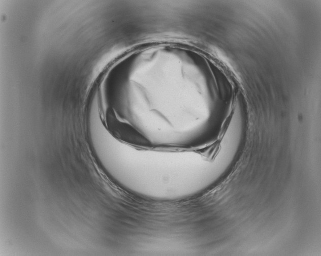 X0000088721320200706141603