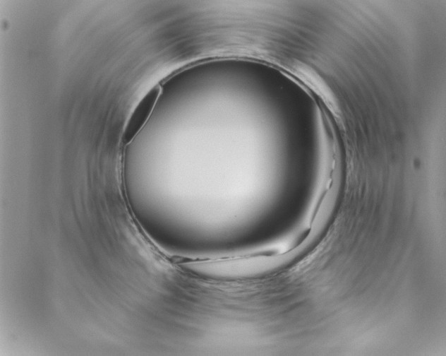 X0000088721340200706141603