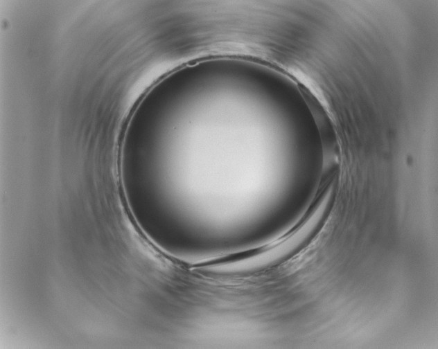 X0000088721342200706141604