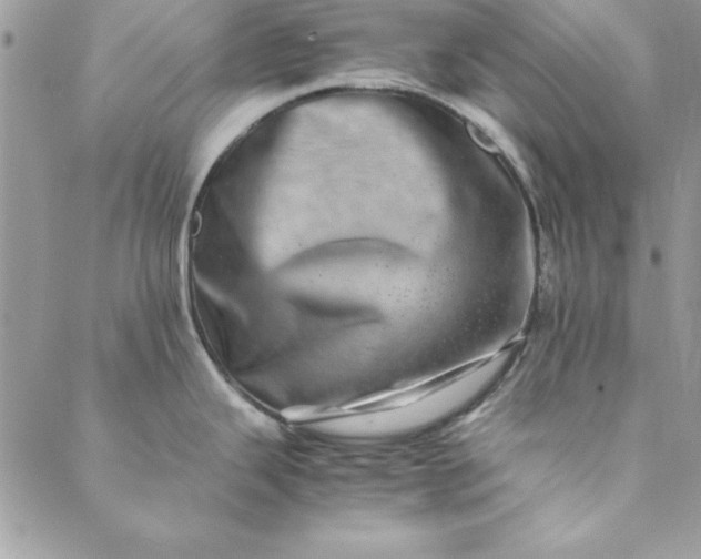 X0000088721343200706141604
