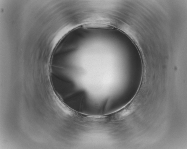X0000088721344200706141604