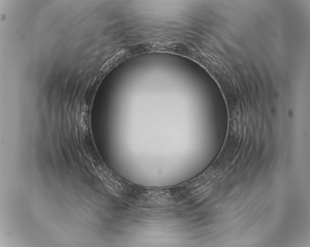 X0000088721346200706141603