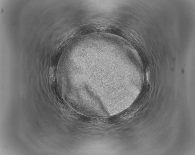 X0000088721347200706141603