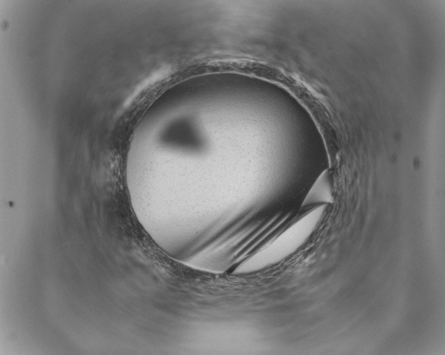 X0000088721351200706141603