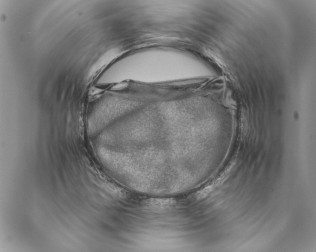 X0000088721354200706141603