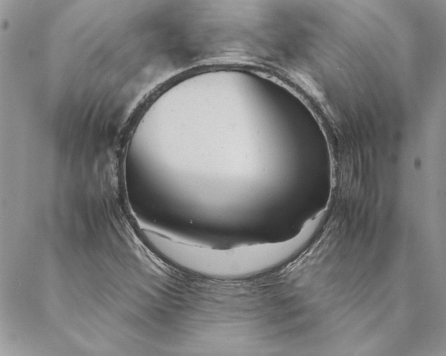 X0000088721356200706141603