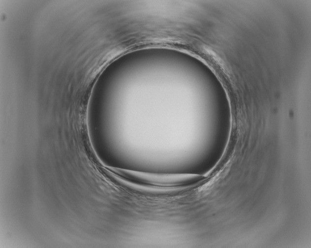 X0000088721361200706141602