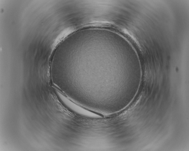 X0000088721362200706141602