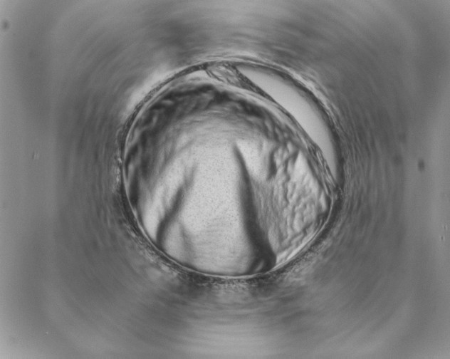 X0000088721363200706141602