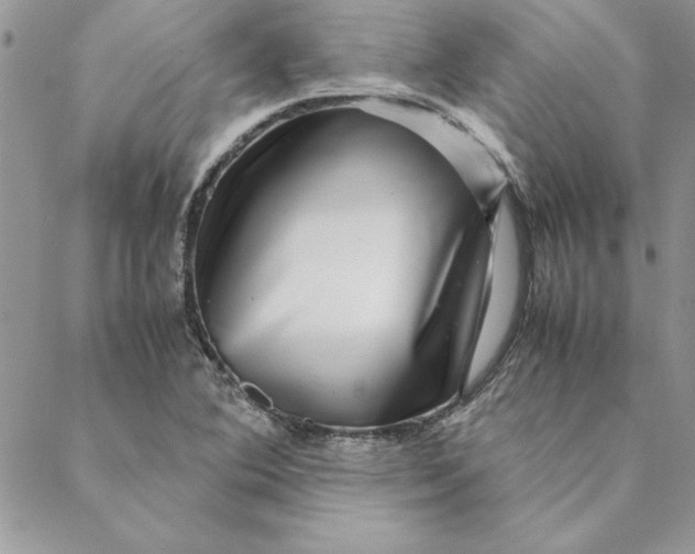 X0000088721364200706141602