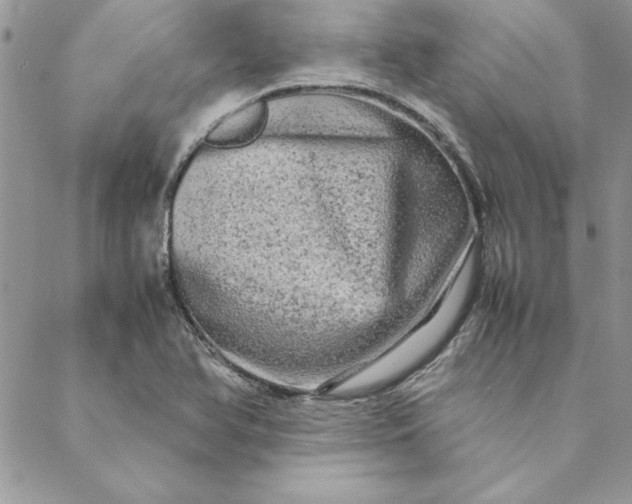 X0000088721366200706141602