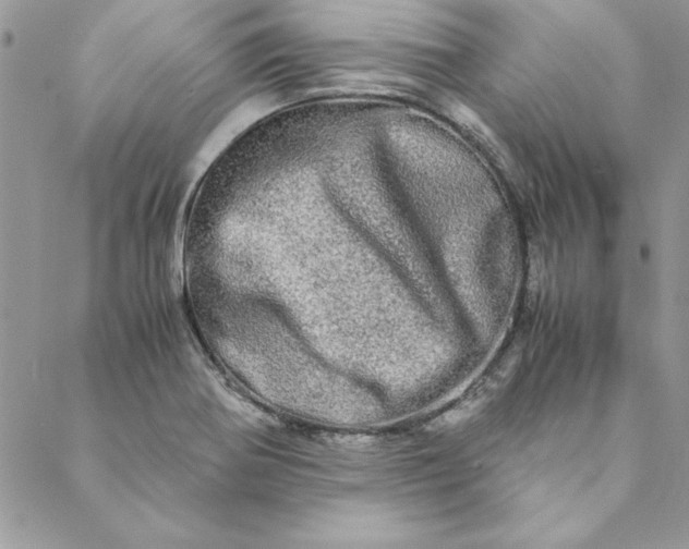 X0000088721370200706141602