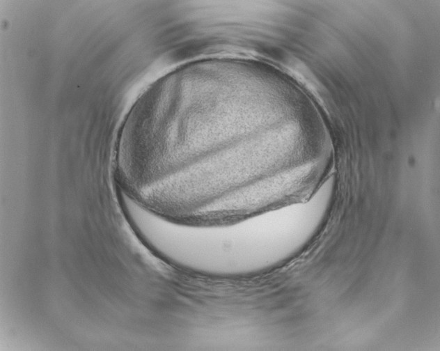 X0000088721379200706141602