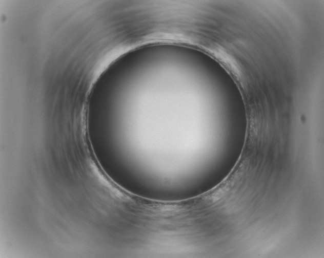 X0000088721382200706141602
